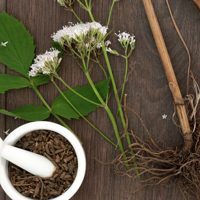 Valerian Root