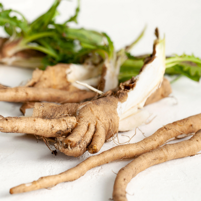 Chicory Root