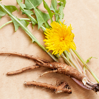 Dandelion Root