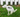 Dog Diarrhea: Natural Remedies, Causes & When to See a Vet