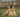 Dog Limping on Back Leg: Causes and When to See a Vet