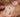 How to Detect and Eliminate Fleas from Your Pet and Home