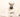 Dog Constipation? Natural Ways to Relieve It and Support Digestive Health
