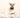 Dog Constipation? Natural Ways to Relieve It and Support Digestive Health