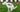Dog Diarrhea: Natural Remedies, Causes & When to See a Vet