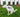 Dog Diarrhea: Natural Remedies, Causes & When to See a Vet