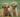 New Puppy Checklist: Must-Have Essentials 2025