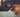 Melatonin for Dogs: Safe Dosage, Uses, and Benefits