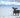 Taurine for Dogs: Heart Health, Dosage & Safety
