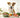 How Long Do Probiotics Take to Work in Dogs? A Realistic Timeline