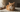 Cat Urinary Tract Infection: Symptoms and When to Worry