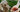 Can Dogs Eat Strawberries?