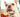 can dogs eat apples