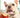 can dogs eat apples