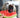 Can Dogs Eat Watermelon?