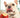 Can Dogs Eat Apples?