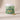 Allergy & Itch Support