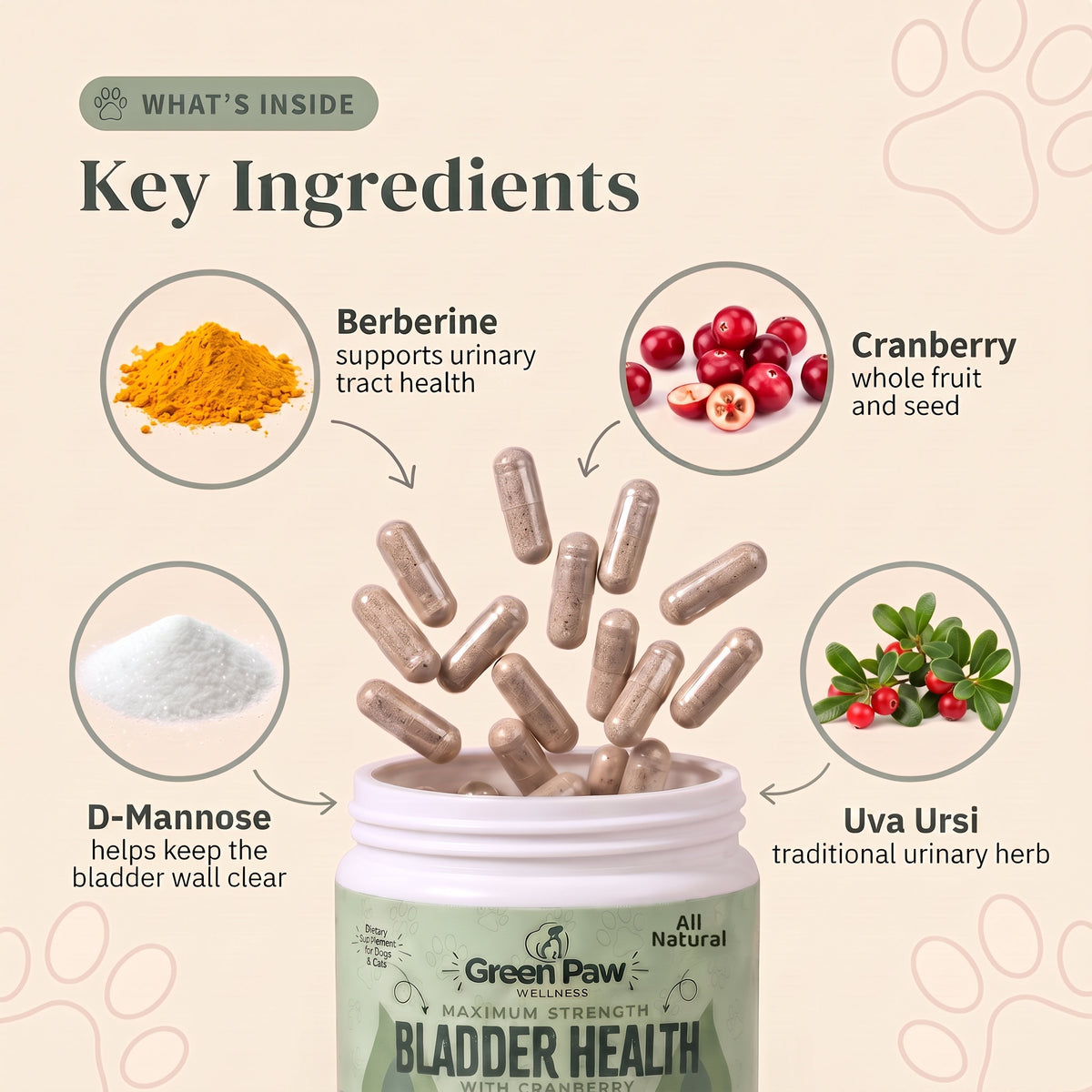 Bladder Health & UTI Support