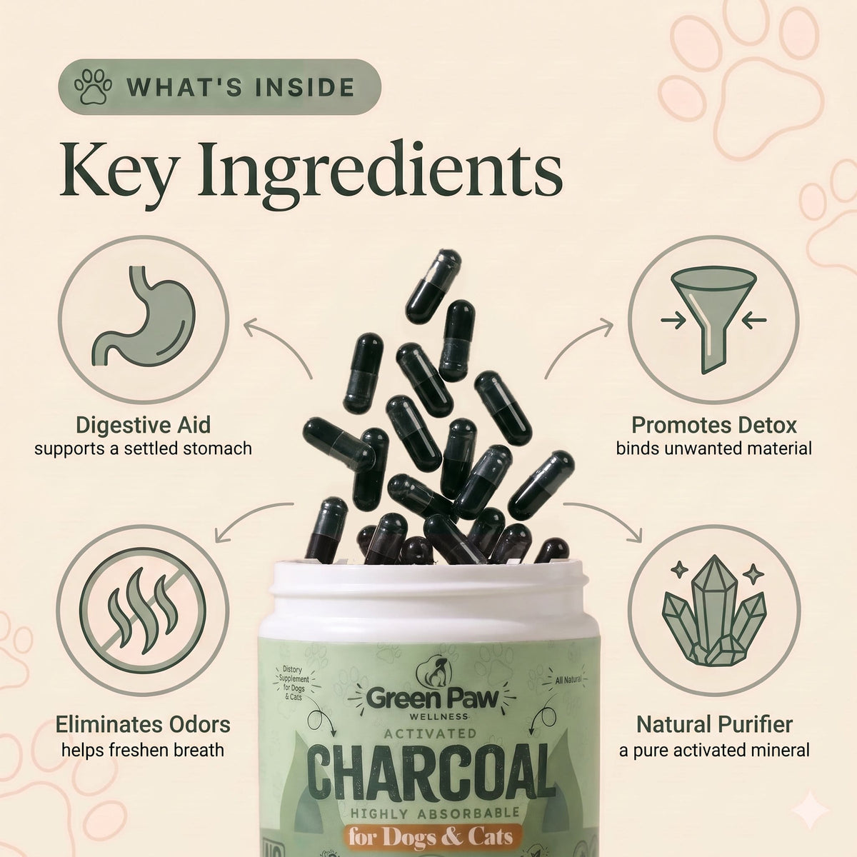 Activated Charcoal