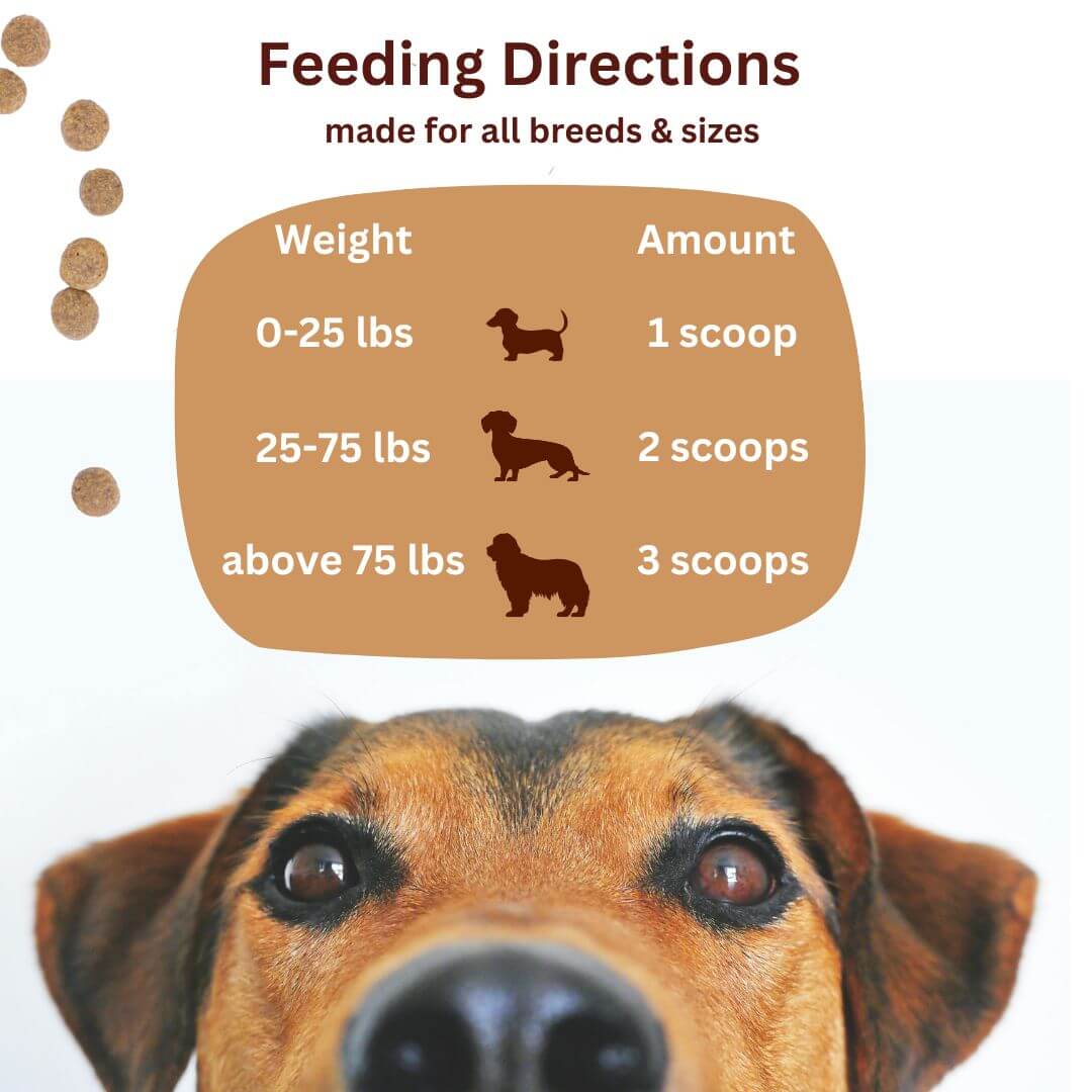 Green Paw Wellness Super Greens Dog Multivitamin powder container for dogs and cats feeding directions