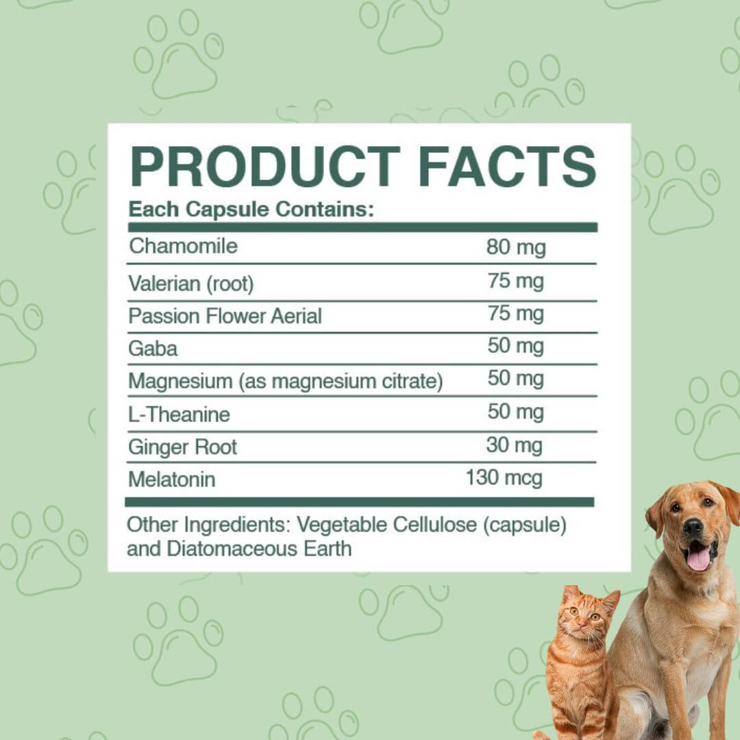 calming supplement for dogs and cats ingredient list 
