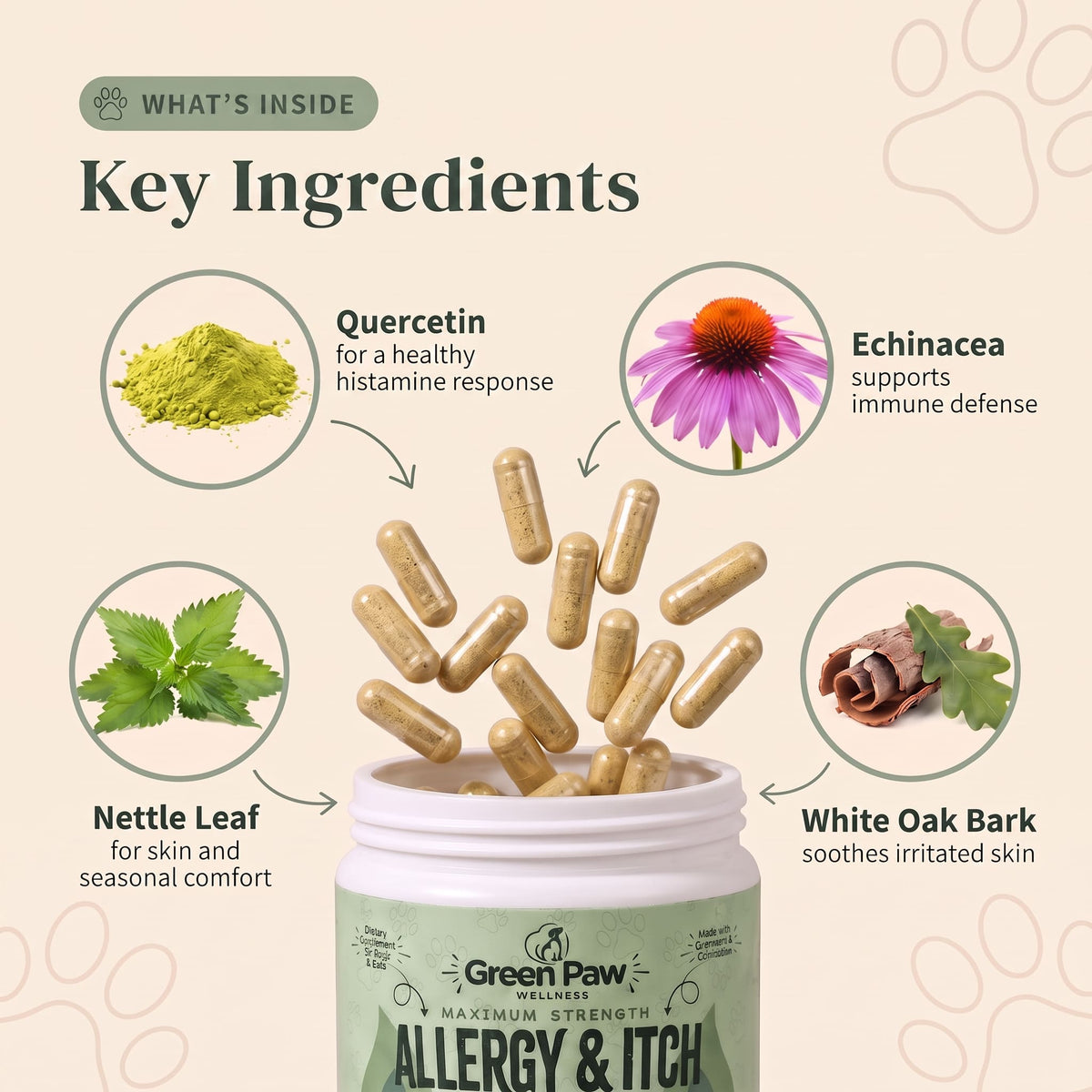 Allergy & Itch Support