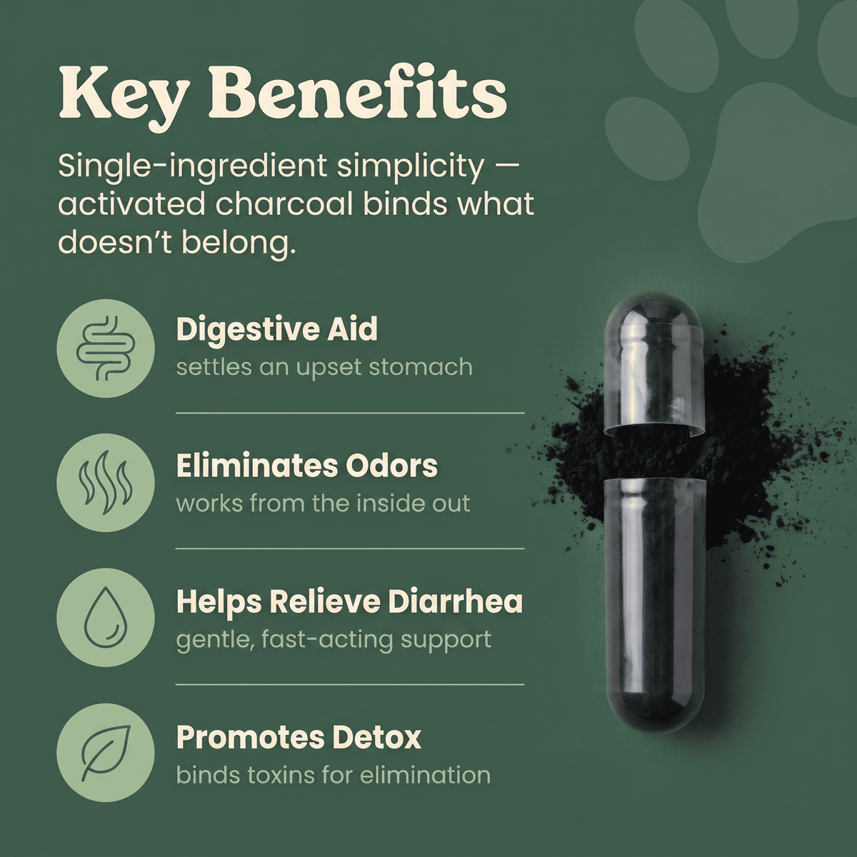 Activated Charcoal