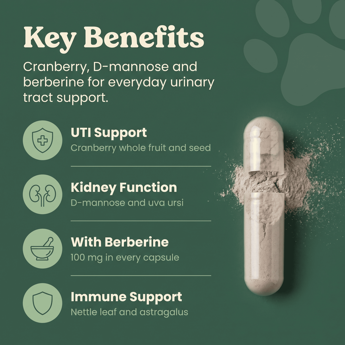 Bladder Health & UTI Support