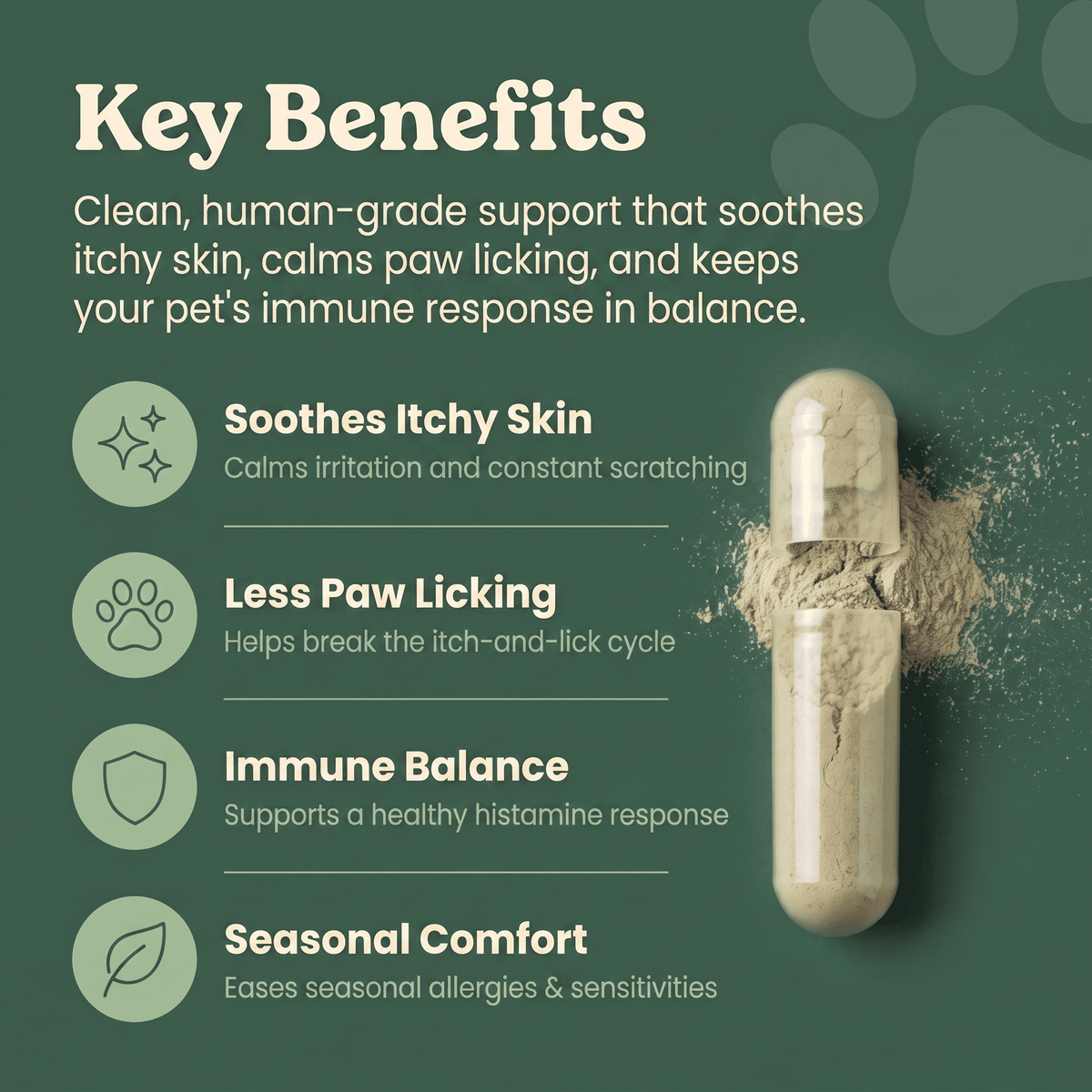 Allergy & Itch Support