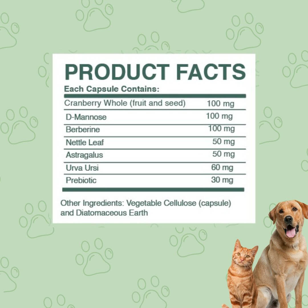 Bladder Health UTI Dog and Cat Supplement Ingredient list