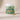 Allergy & Itch Support