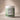 Probiotics with Prebiotics